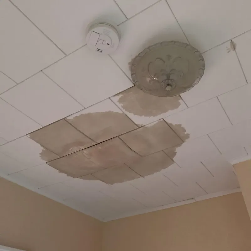 Ceiling Water Damage Repair in Canton, IL