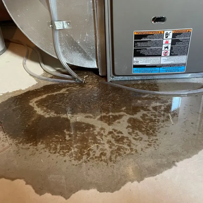 Pipe Burst and Leak Restoration in Canton, IL
