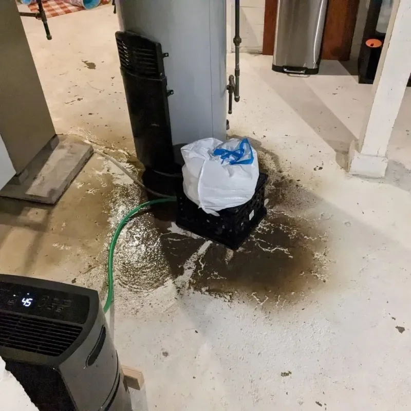 Sewage Backup Cleanup Service in Canton, IL